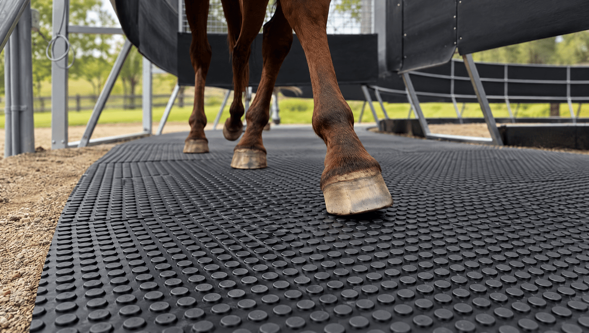 Horse walker rubber flooring